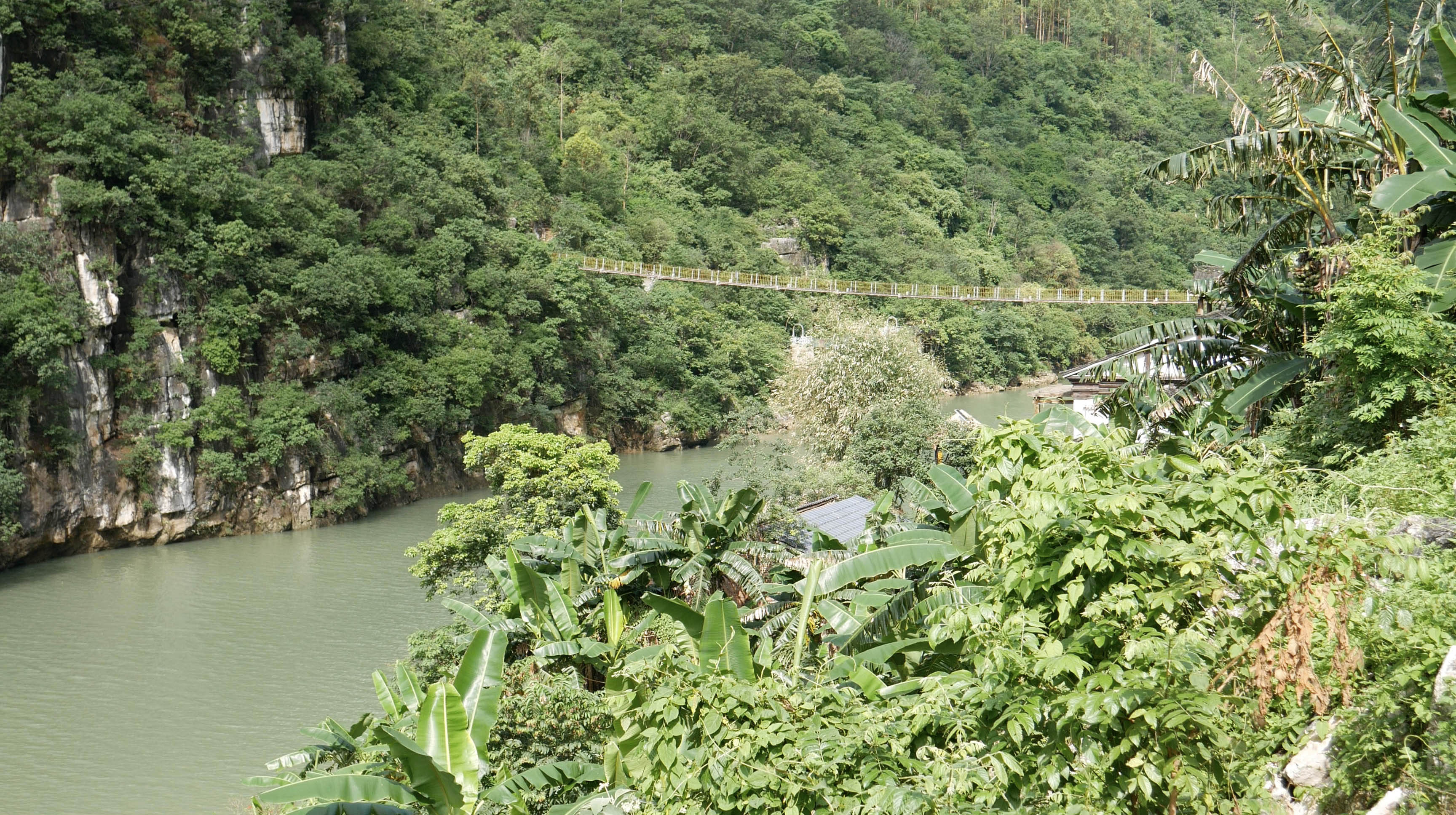 HuajiangChainNewReservoirTrees.jpg