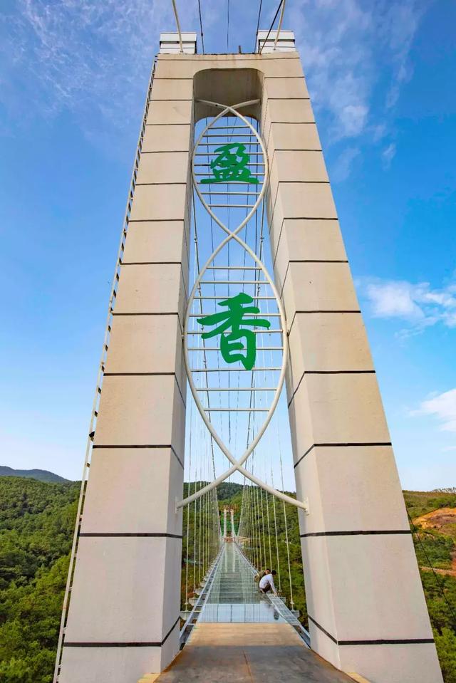 Foshan Yingxiang Ecological Tower.jpg