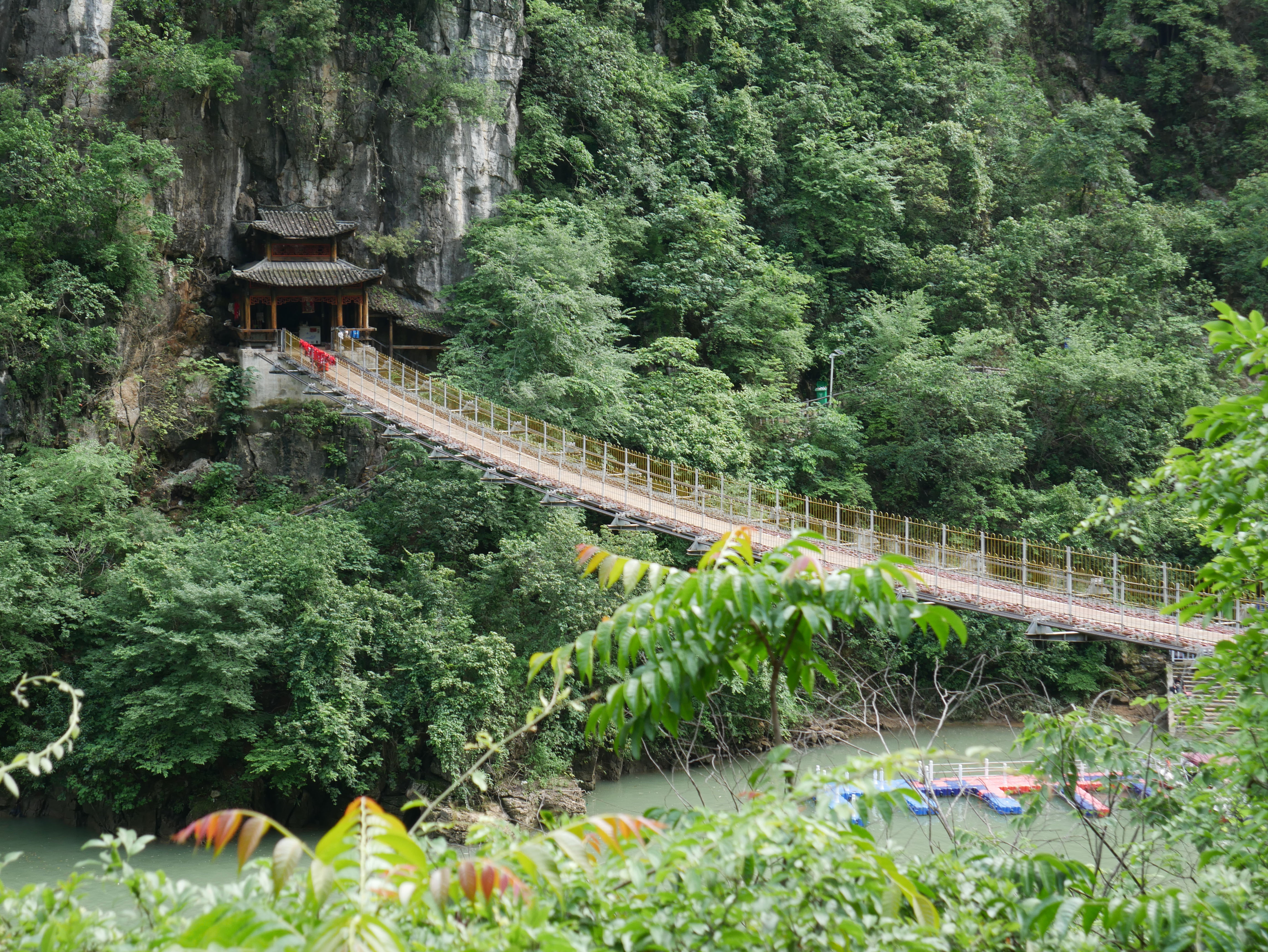 HuajiangChainNewCrossingTrees.JPG