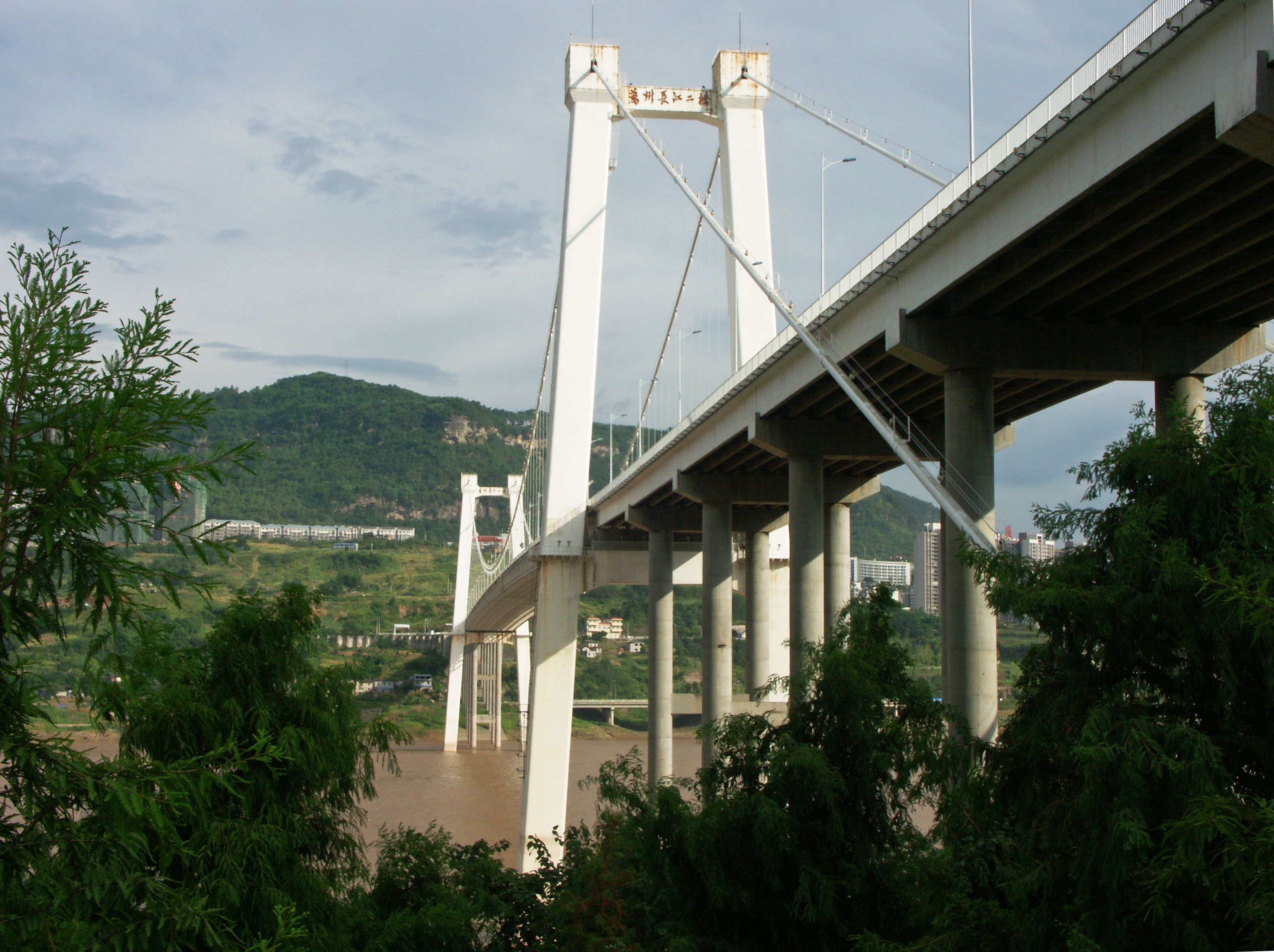 Wanzhou2ndBridge&Trees.jpg