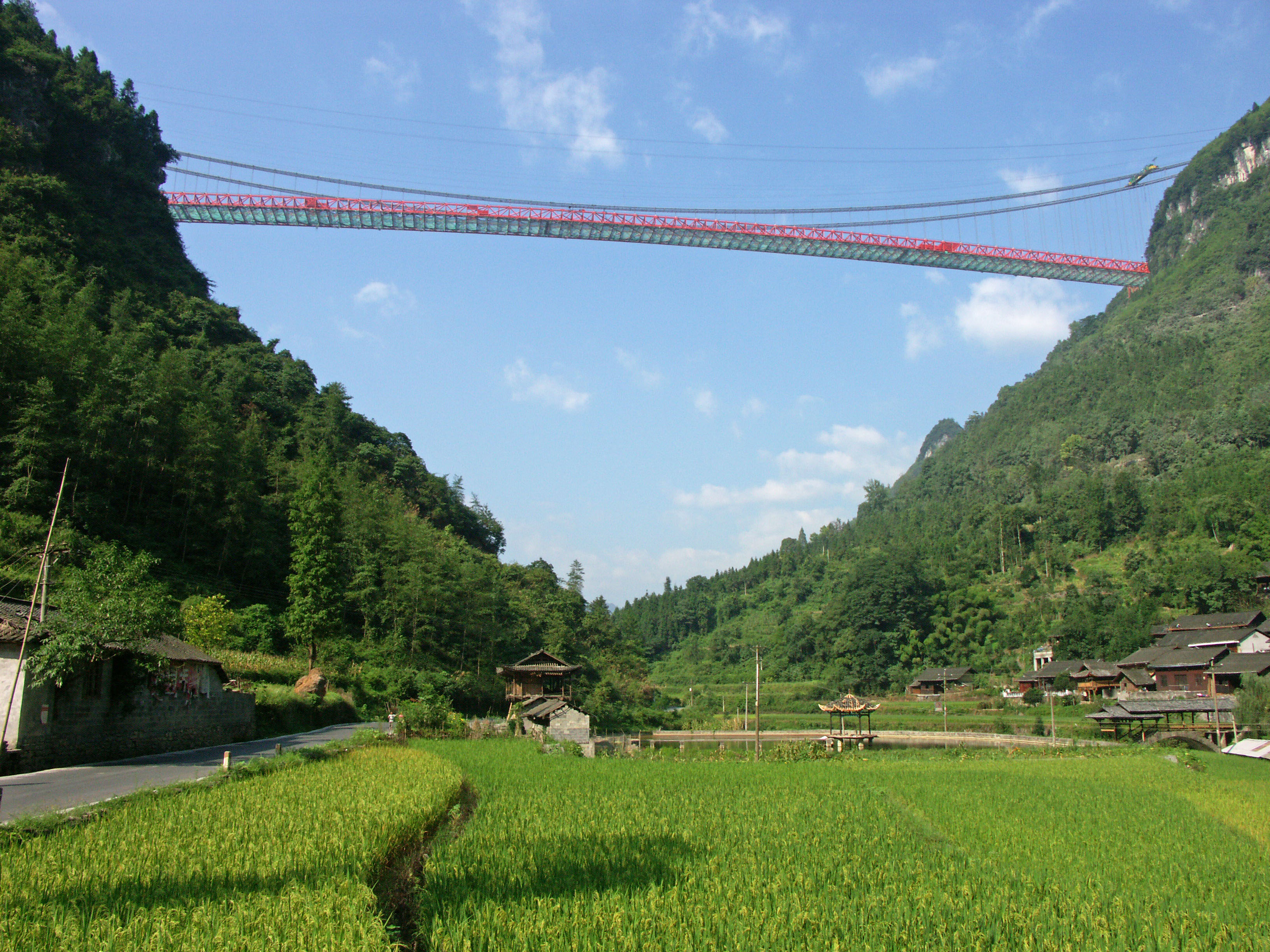 AizhaiBridge&RiceField.jpg