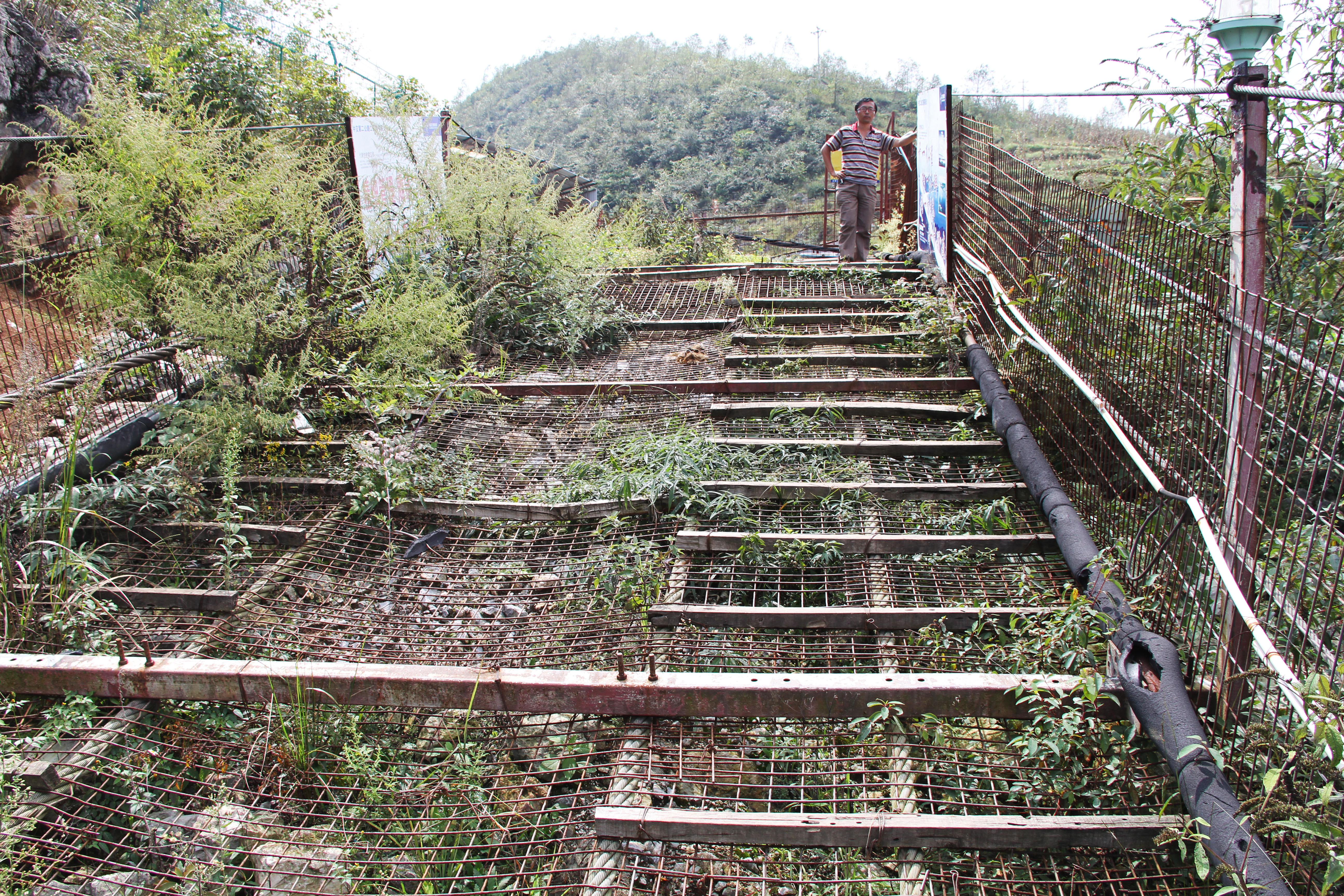 DimuheFootbridgeEndFoliage.jpg