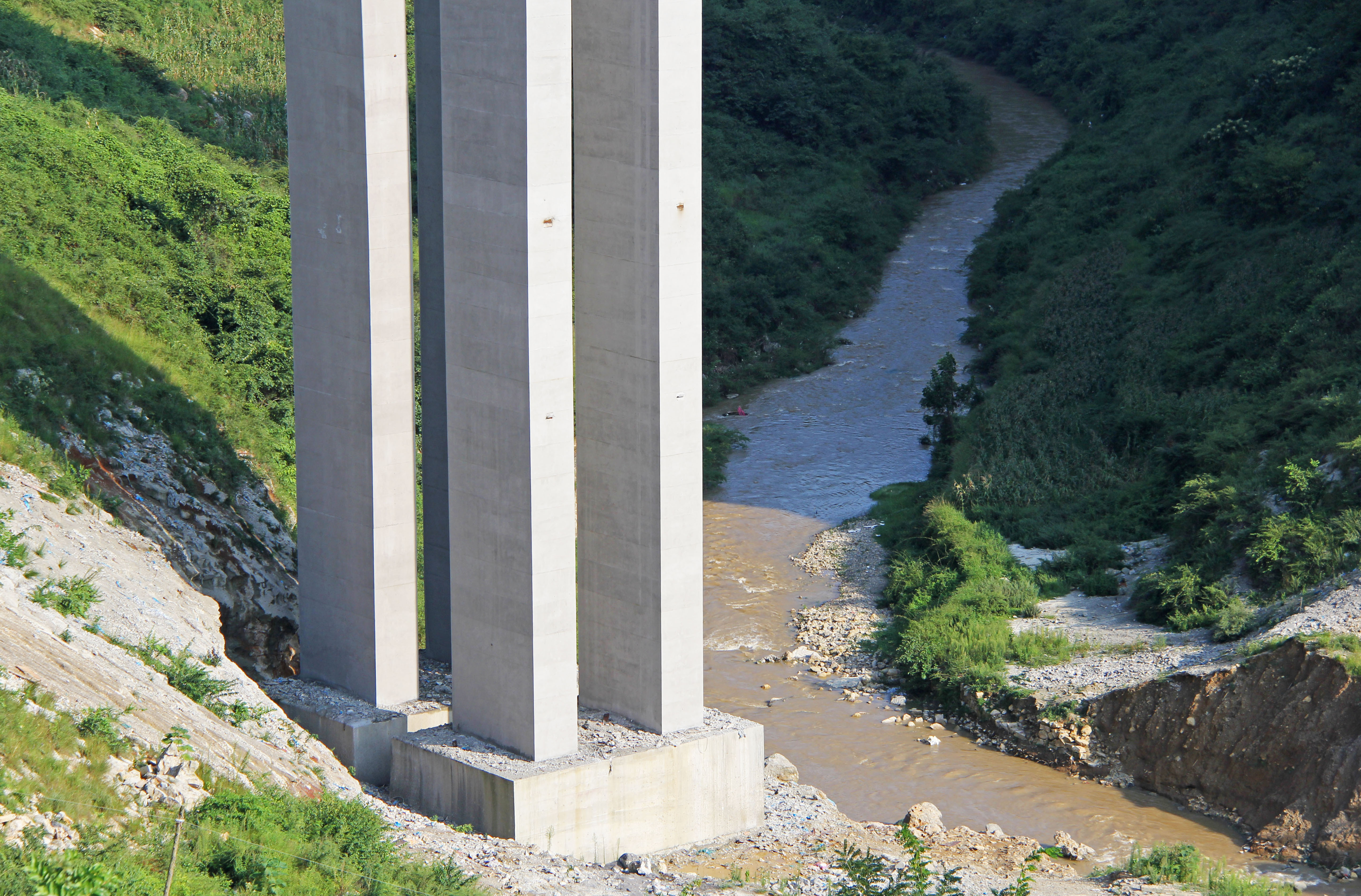 GuihuaLonglens.jpg