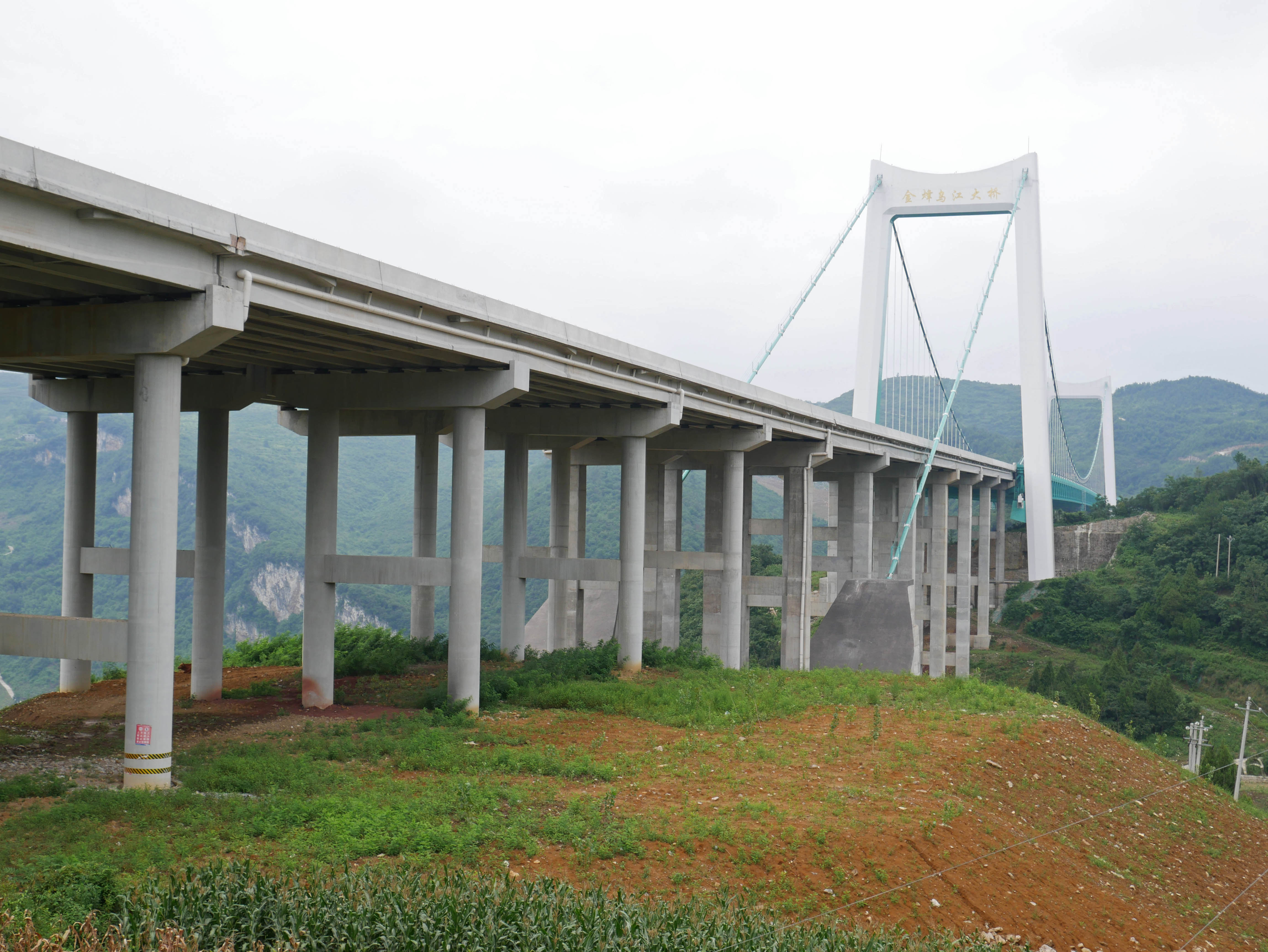 Wujiang Bridge JinfengJuly.JPG