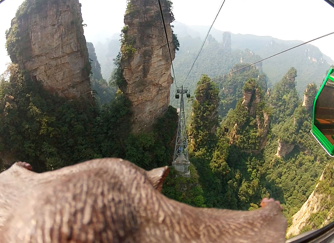 183ZhangjiajieSquirrelByDoug.jpg