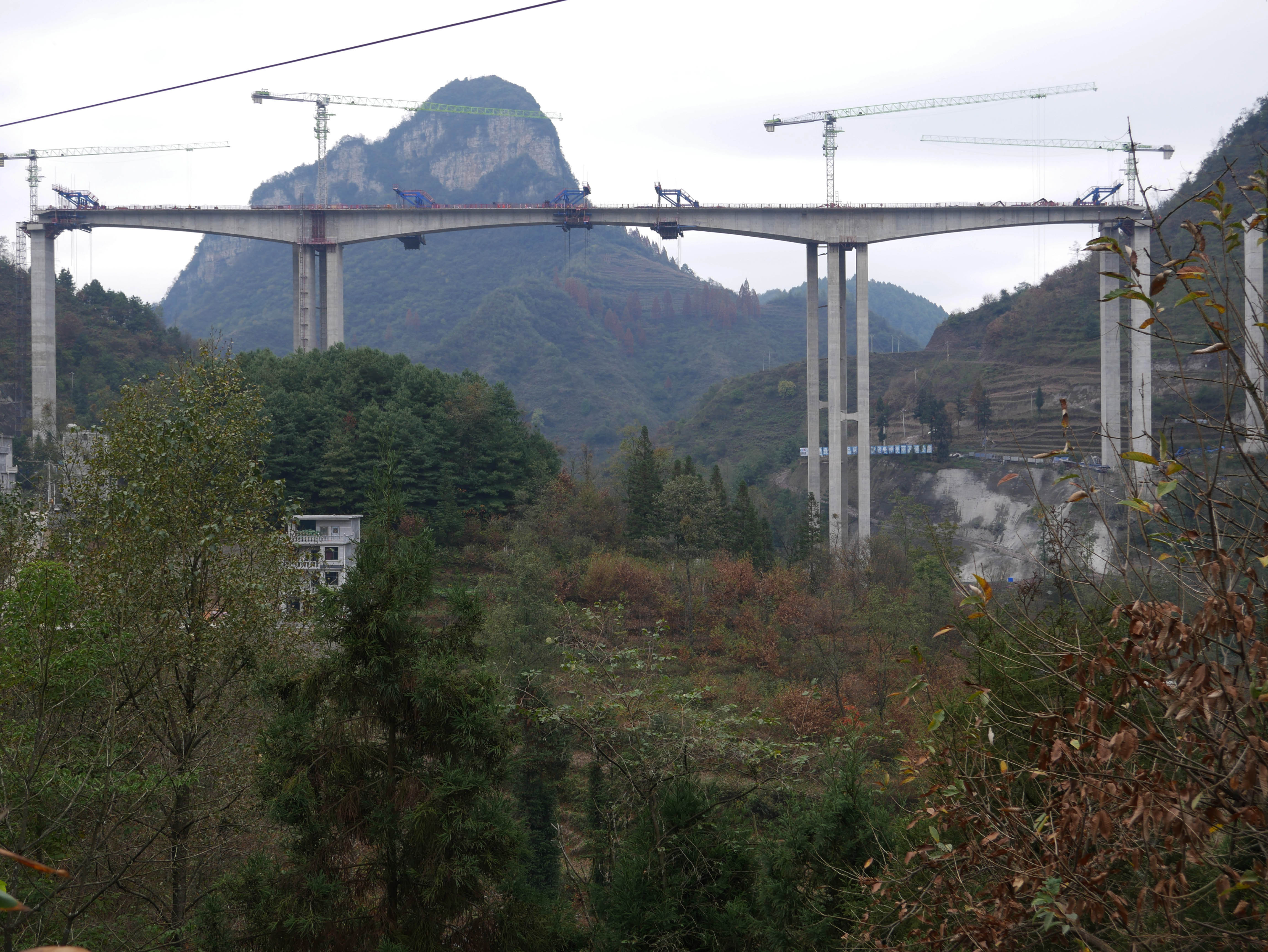 WeisheSideCranes.JPG