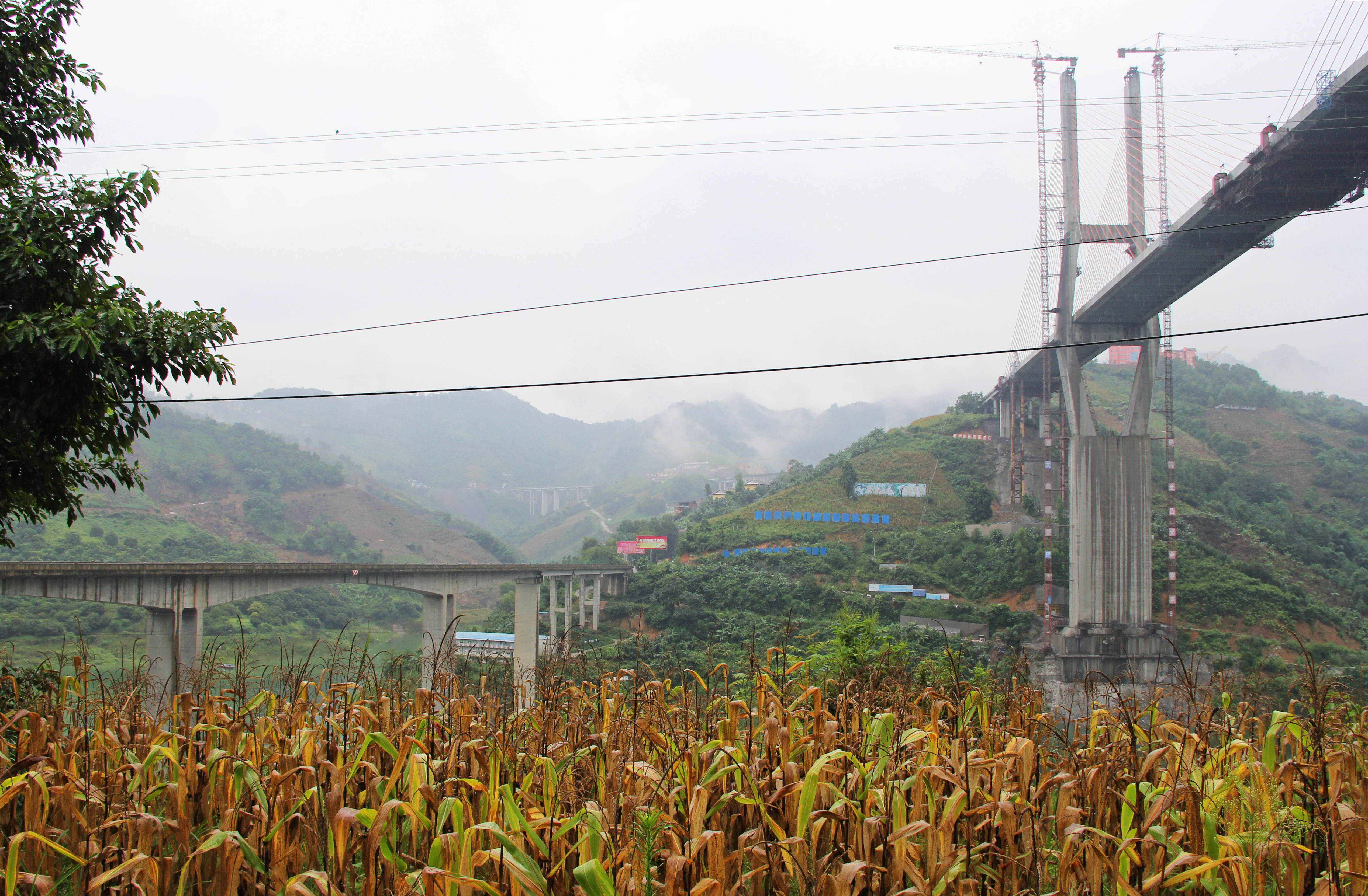 BeipanjiangWang'an&Corn.jpg