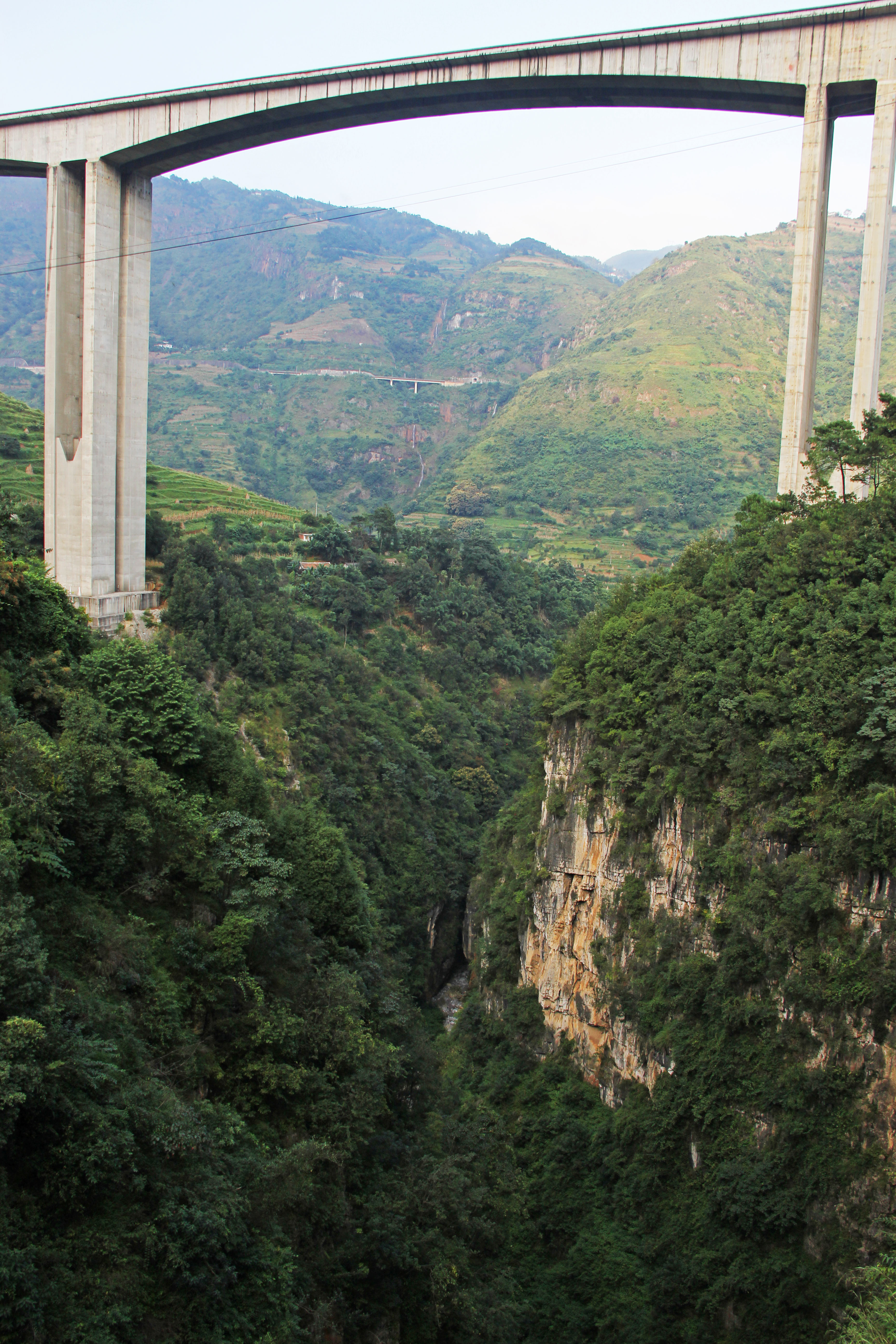 WanglongbaoBeam&Trees.jpg