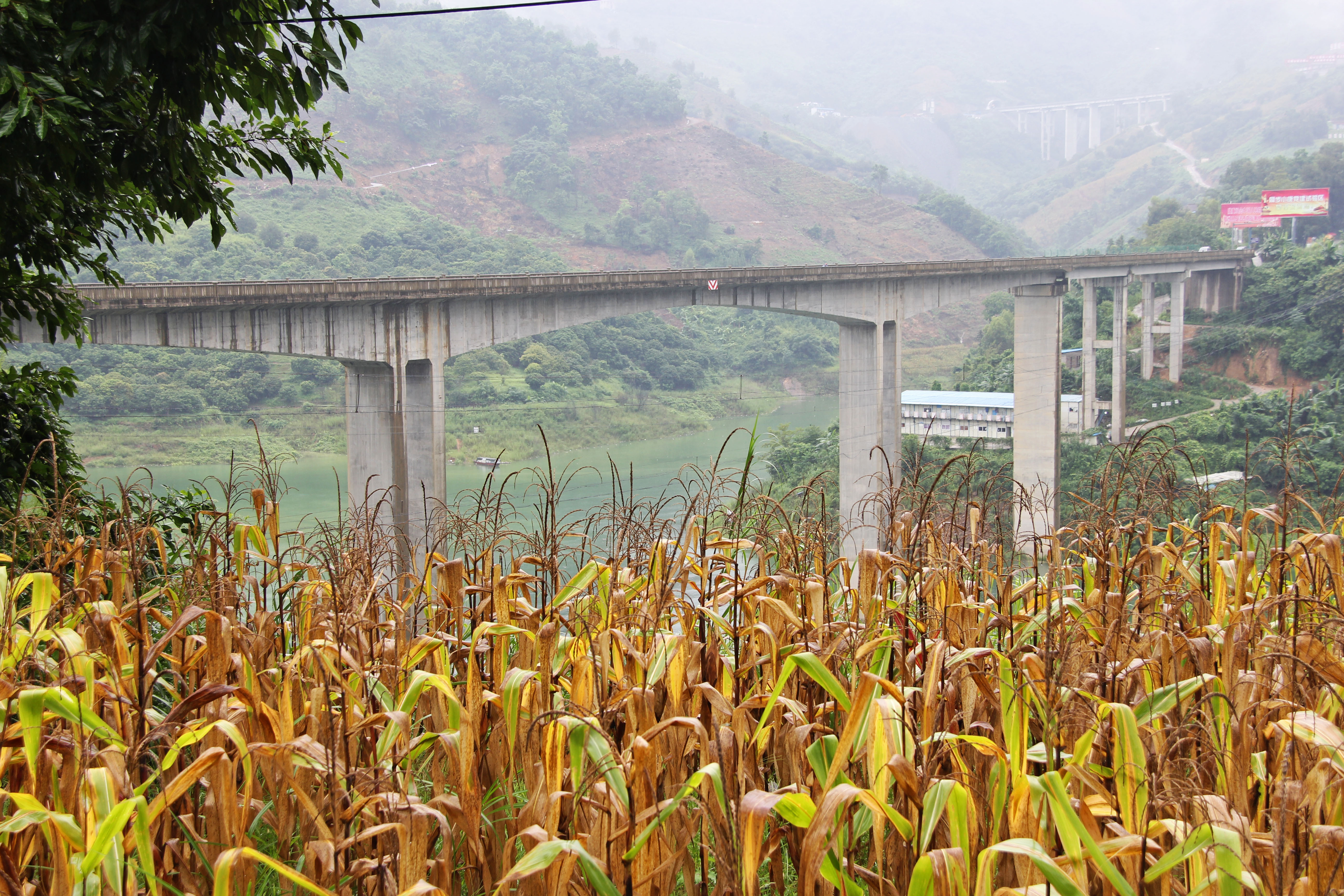 BeipanjiangWang'anBeamReservoirSingleLane.jpg