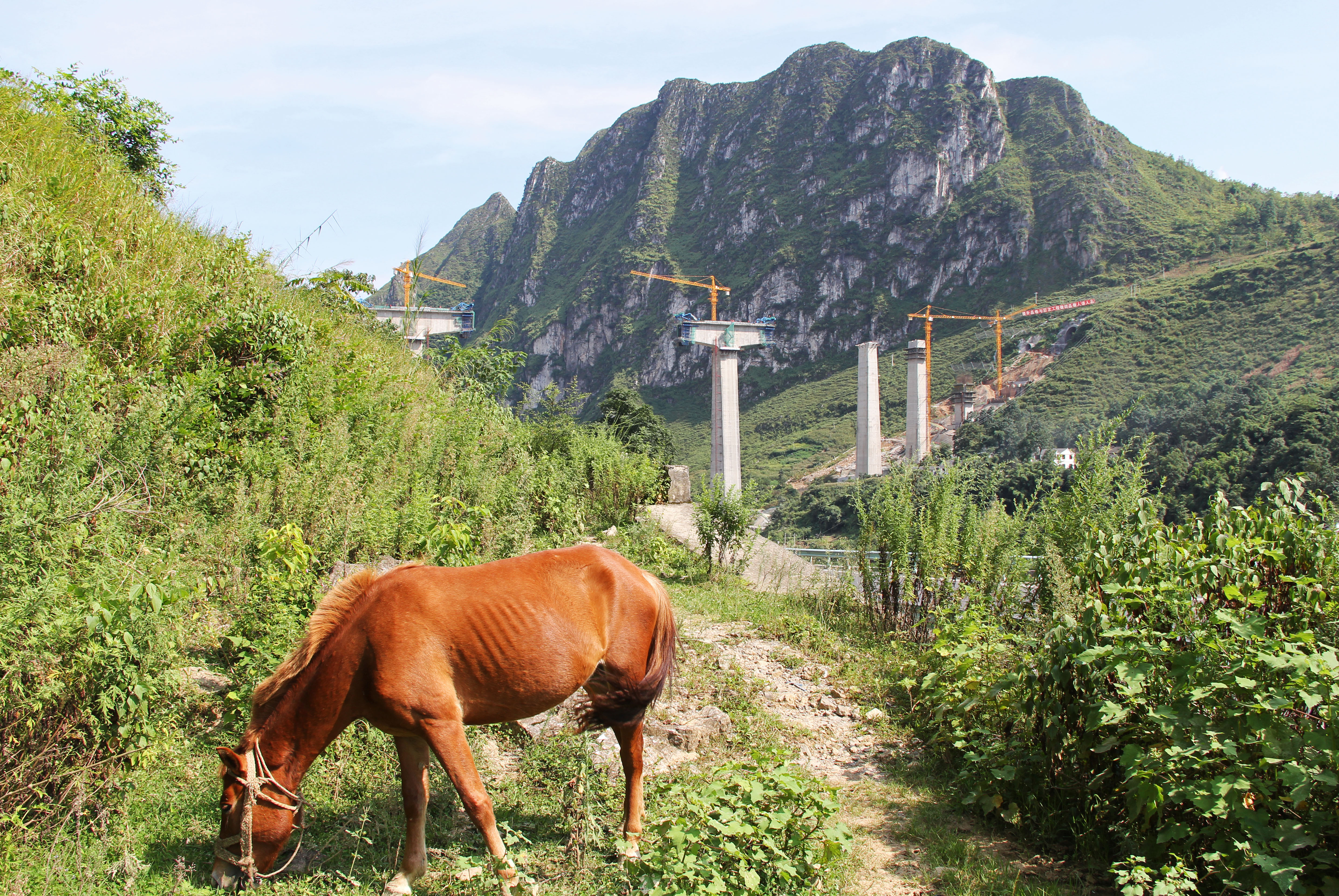 BalingheRailway&Horse.jpg