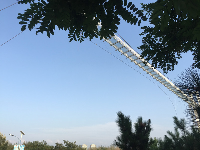 Haishitianjie Glass FootbridgeTrees.jpg