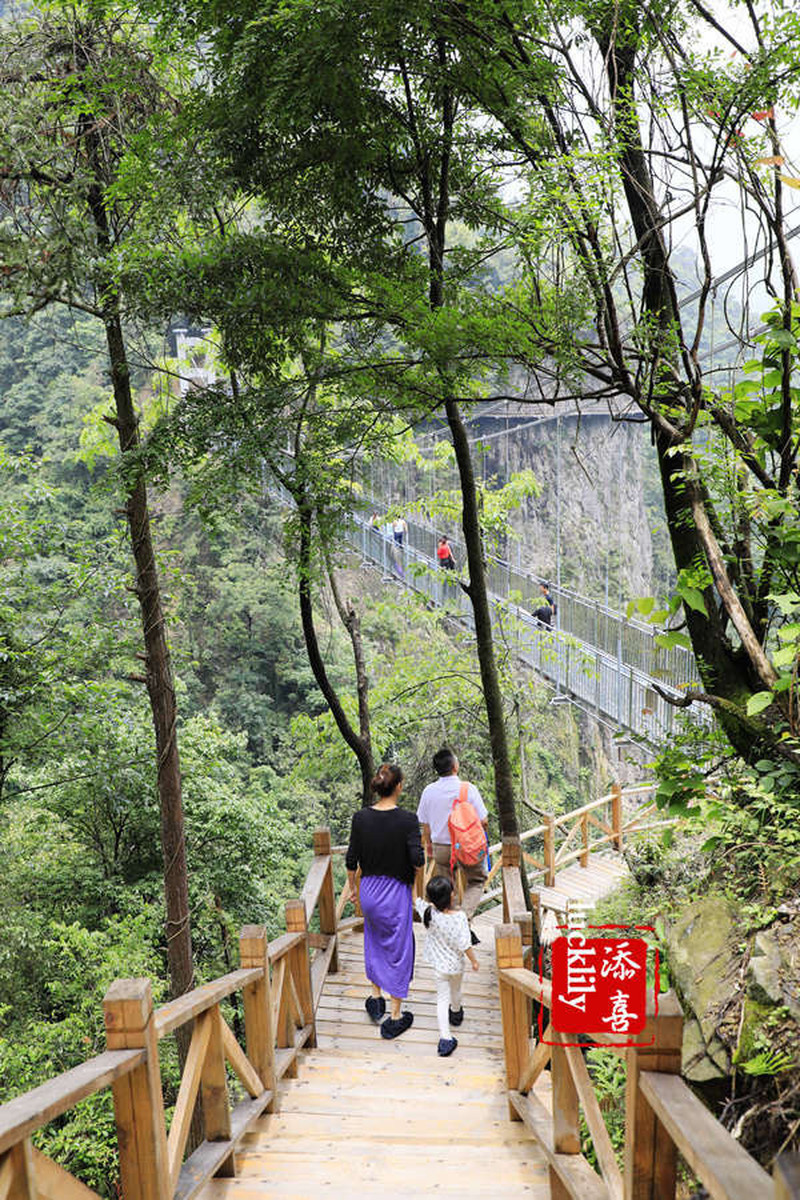 Yaowangshan Glass Trees.jpg