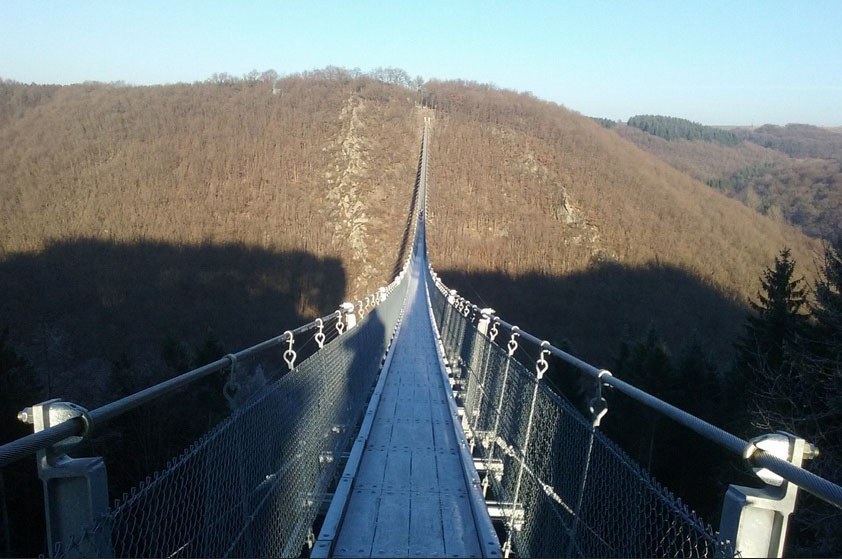 GeierlayFootbridge7.jpg