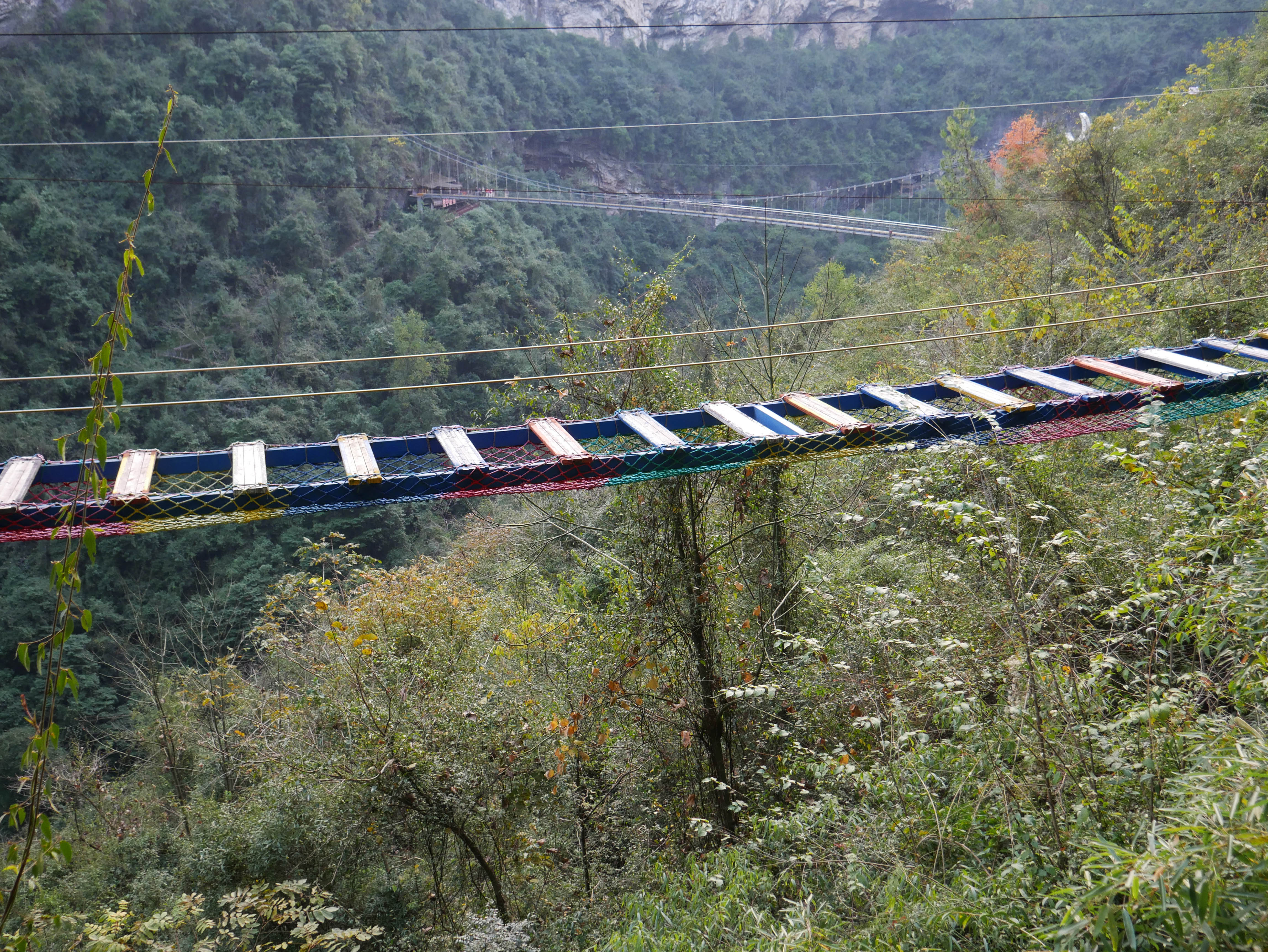 MotanyunLadderPlanks.JPG