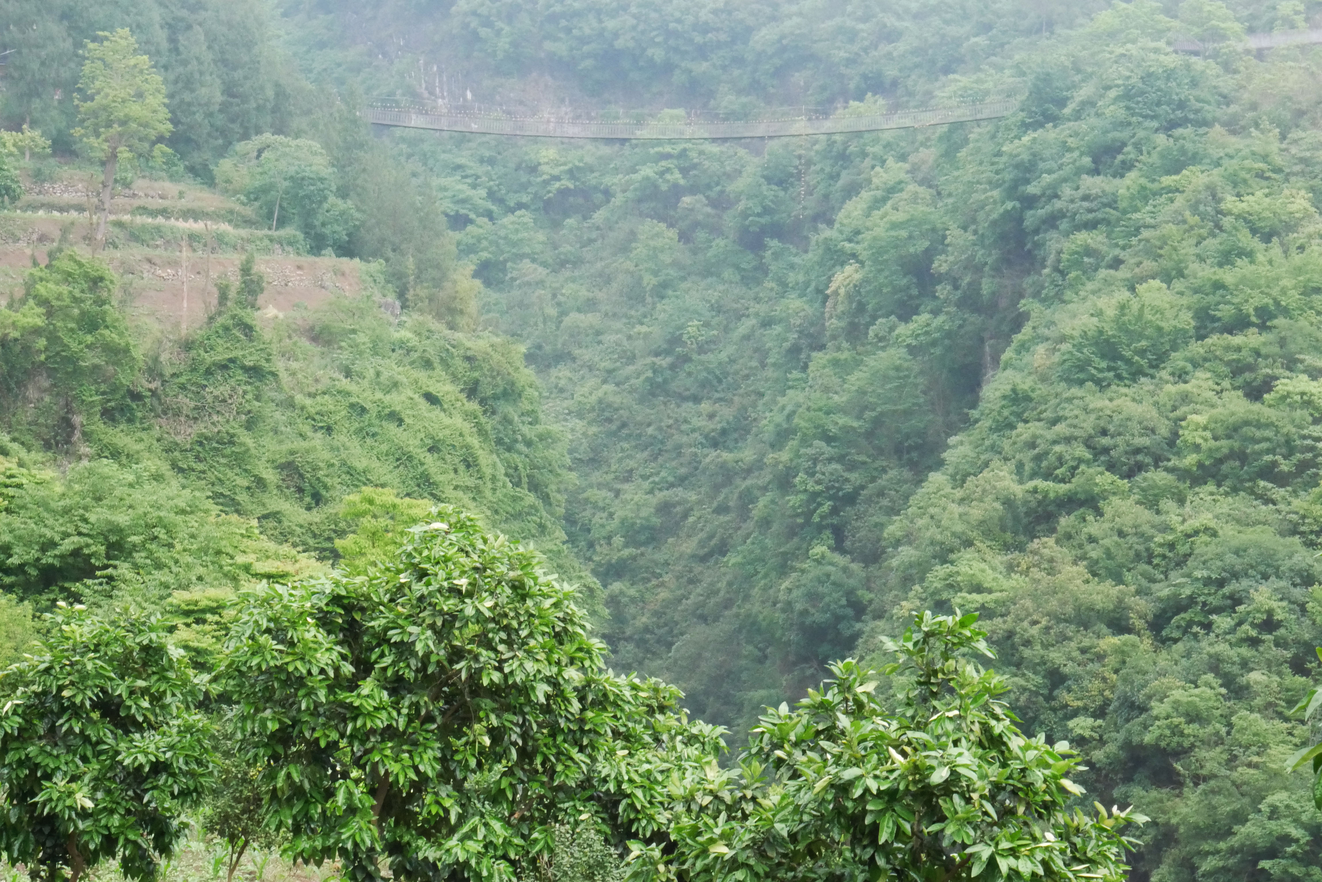 Tongzi FootbridgeSide.JPG