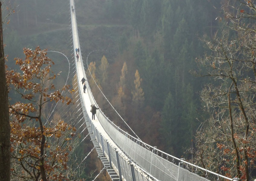 GeierlayFootbridge8.jpg