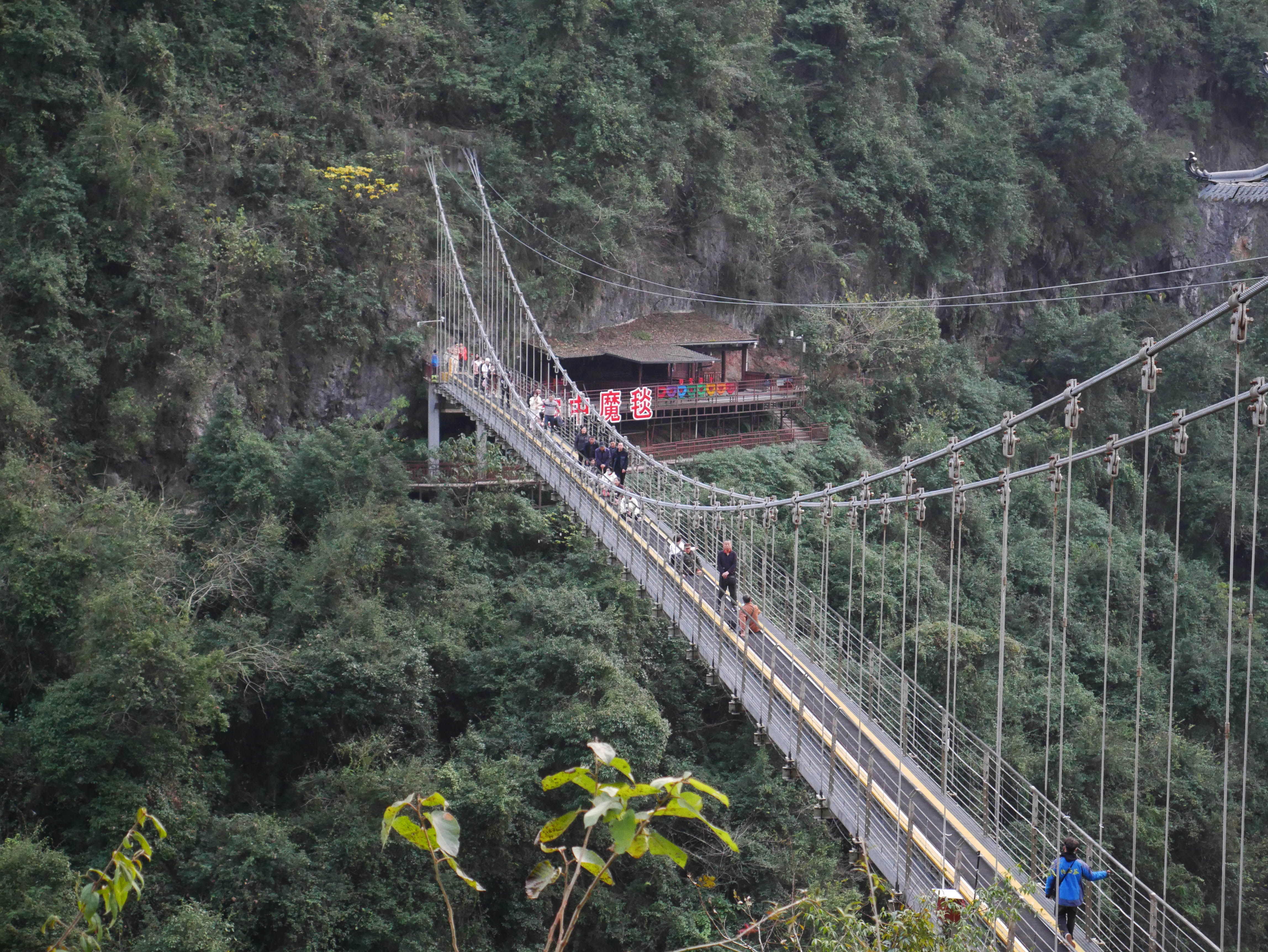 MotanyunFootbridgeTreeAnchorage.JPG