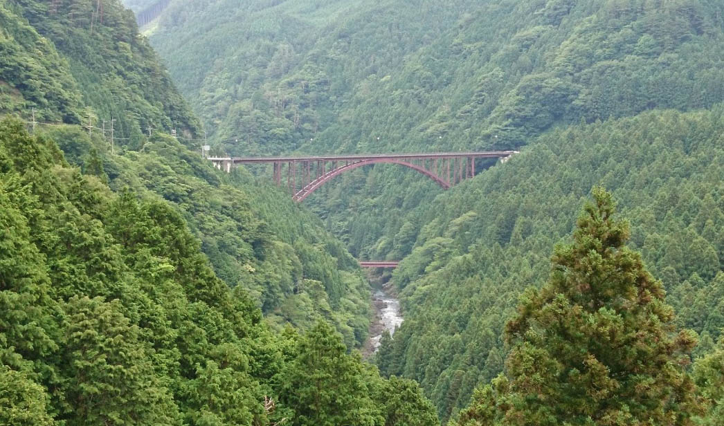 Fujiwara By 氏名名前.jpg