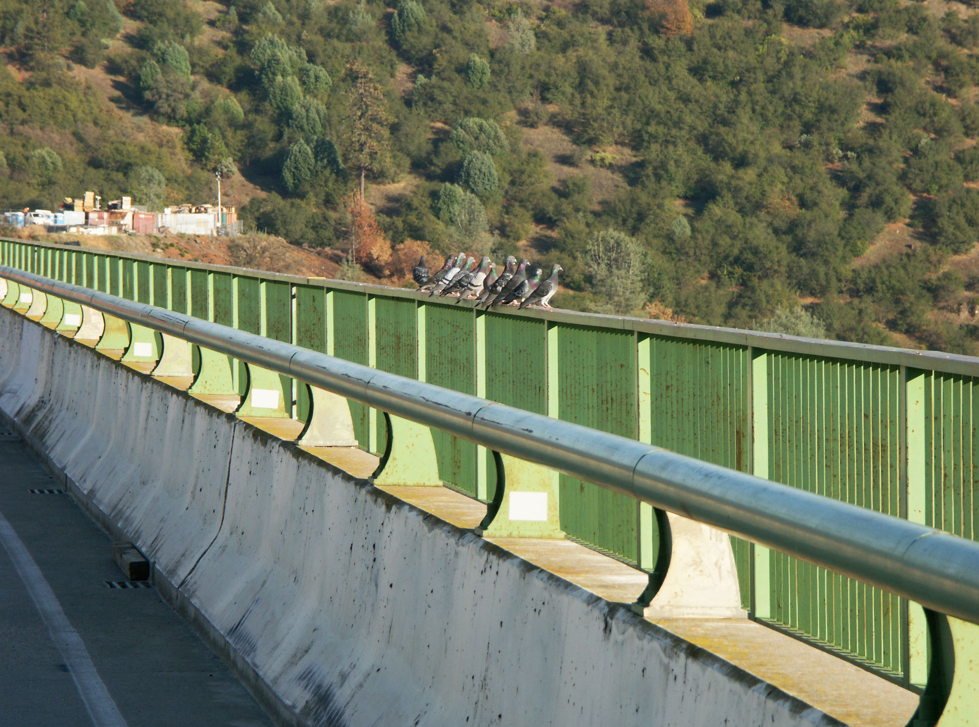 AuburnBridge55.jpg
