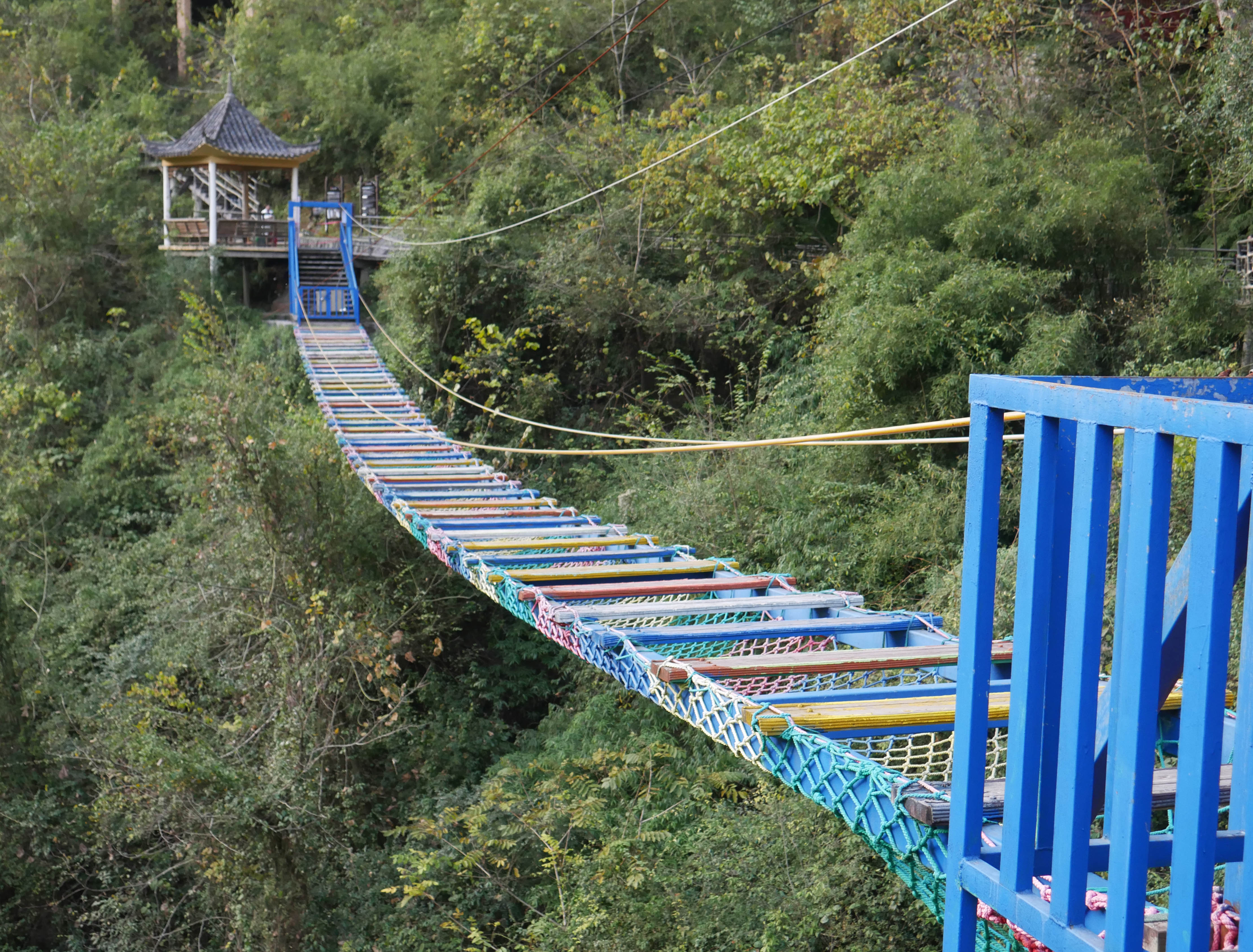 MotanyunLadderBlueRailing.JPG