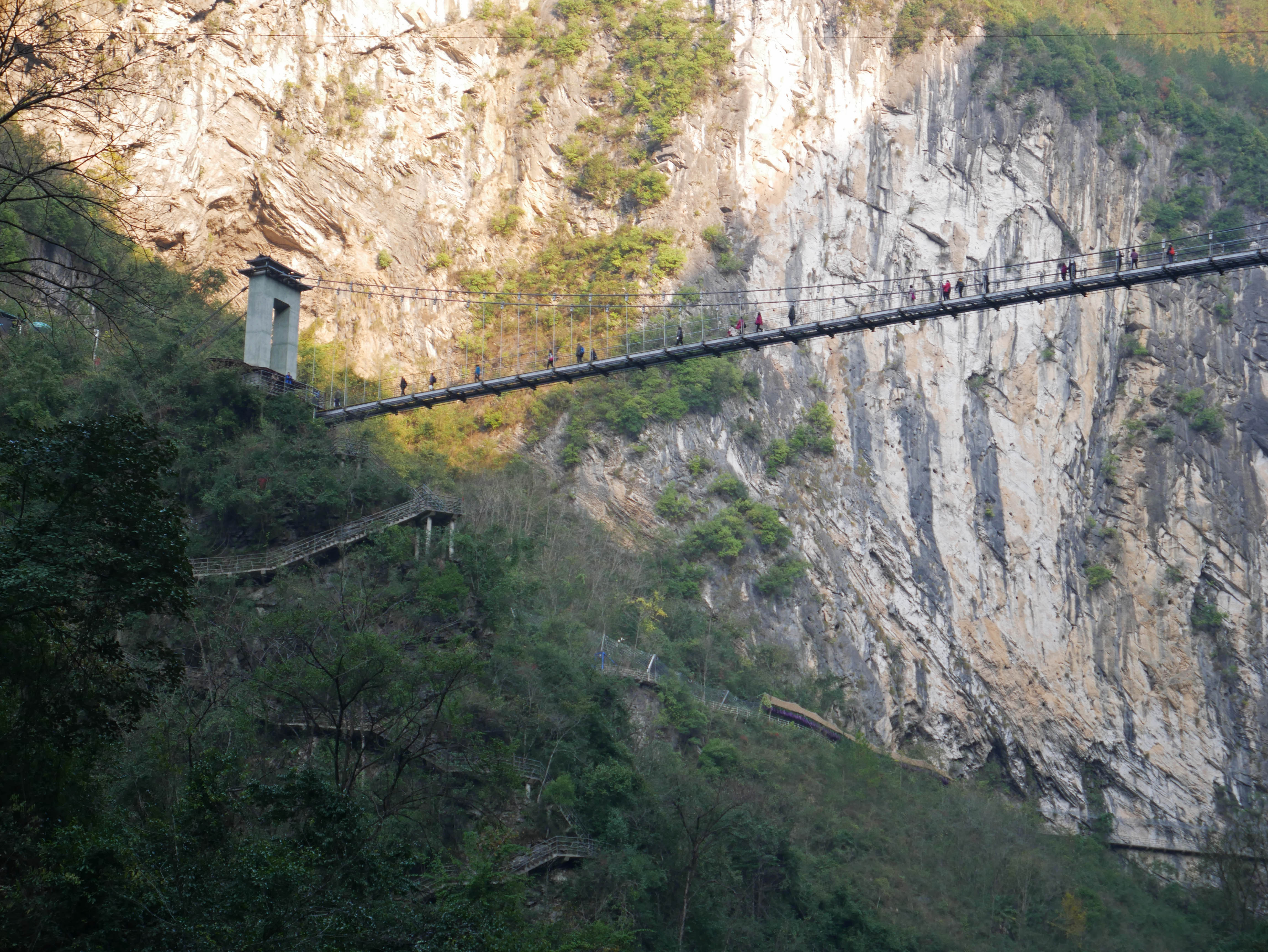 MotanyunFootbridgeWallTrees.JPG