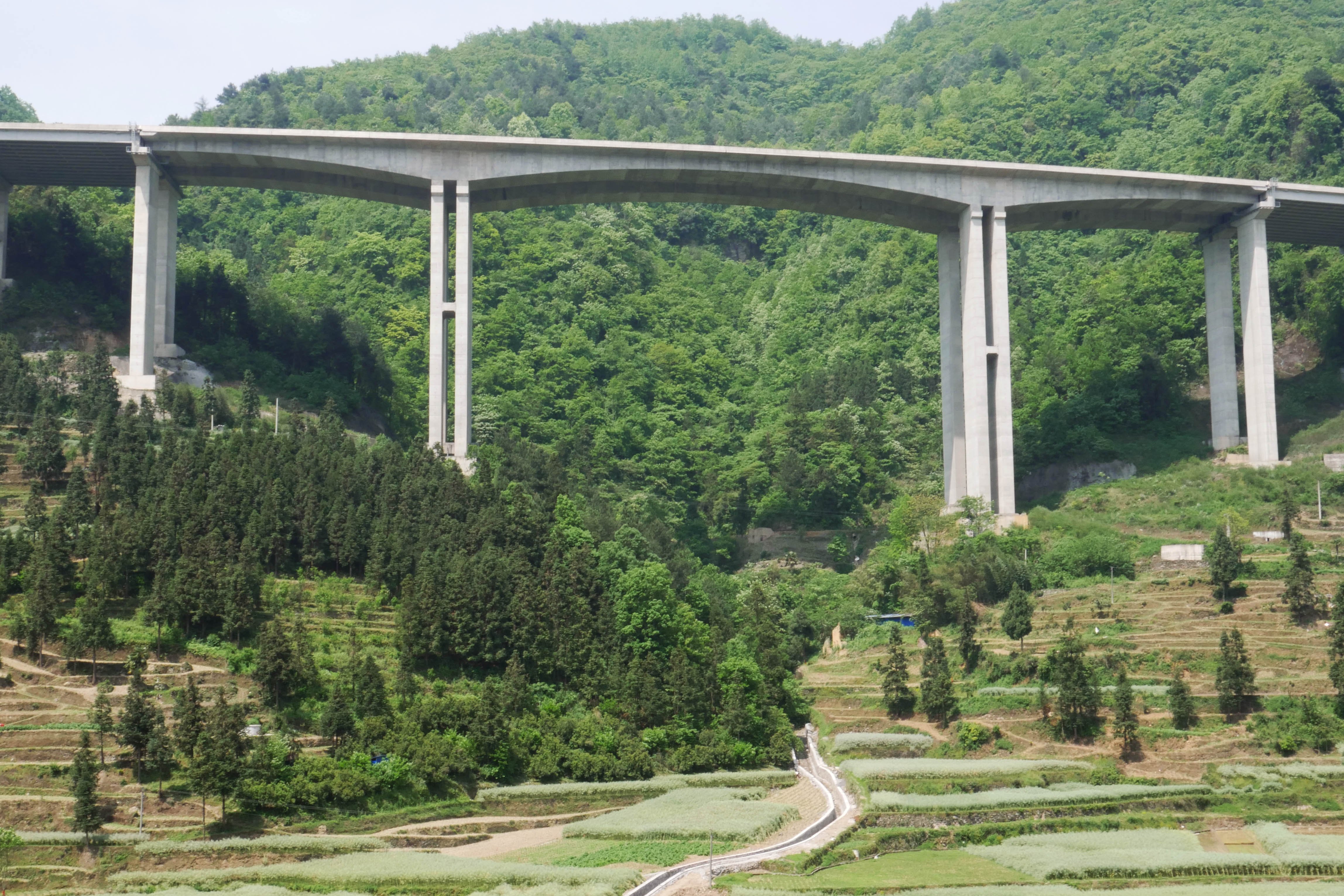 LongzhuangSide.JPG