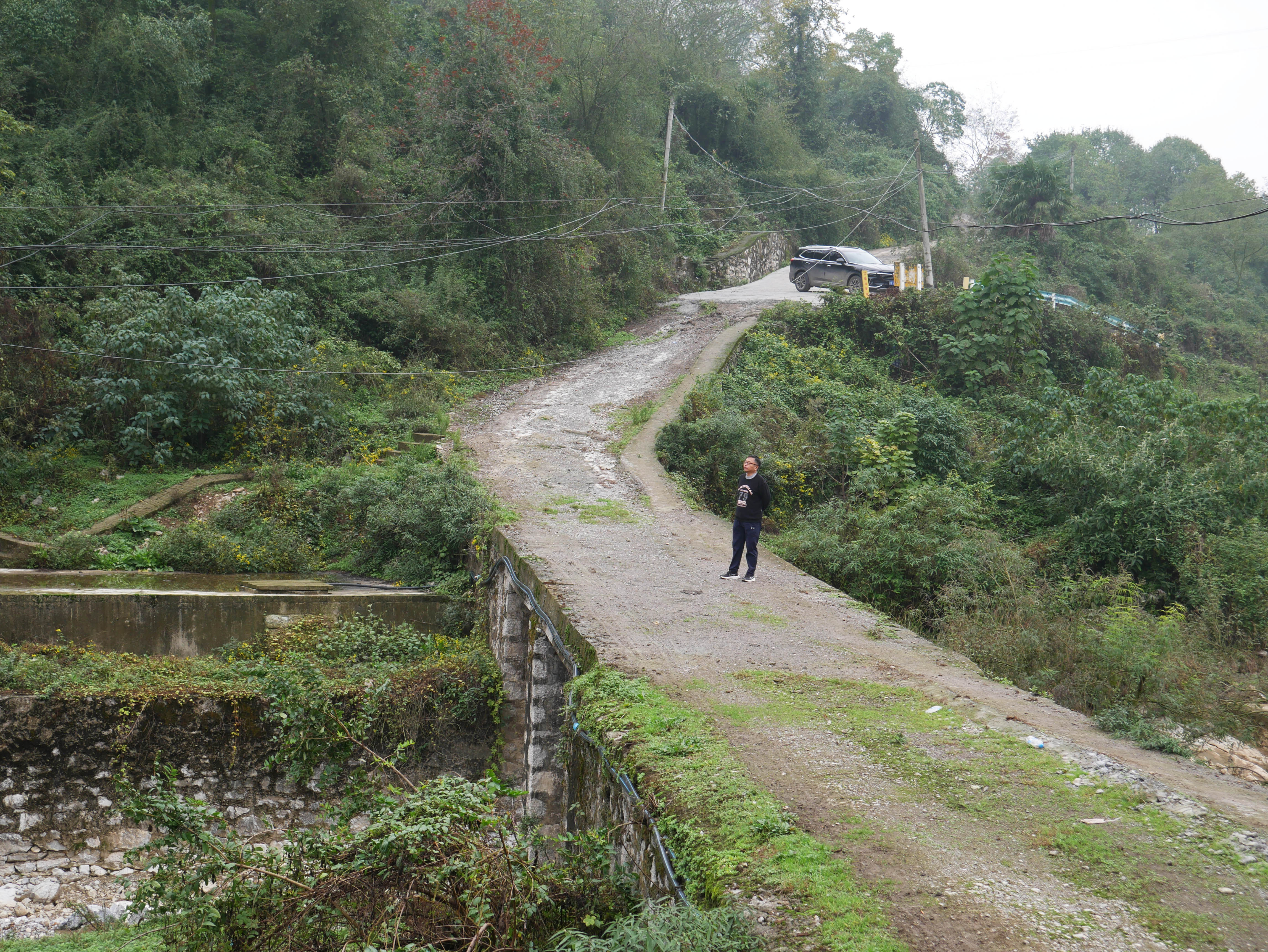 LaowangtianSmall.JPG