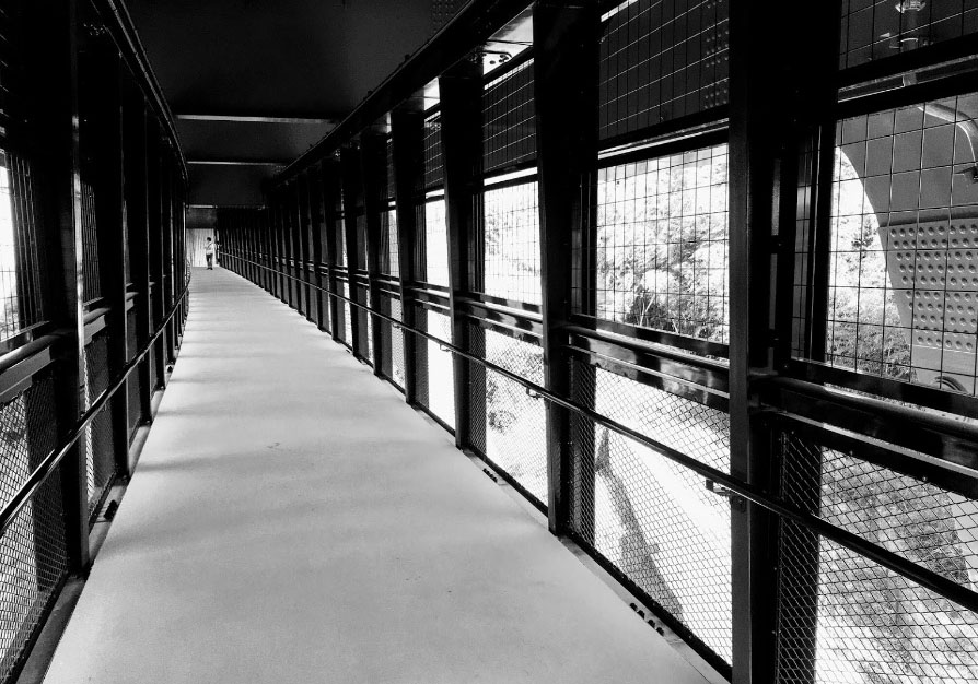 Mitsutaka suganumaWalkway.jpg