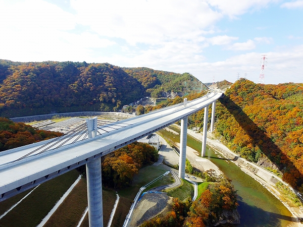 Sense of bridge : たま☆ Mukogawa Bridge - HighestBridges.com