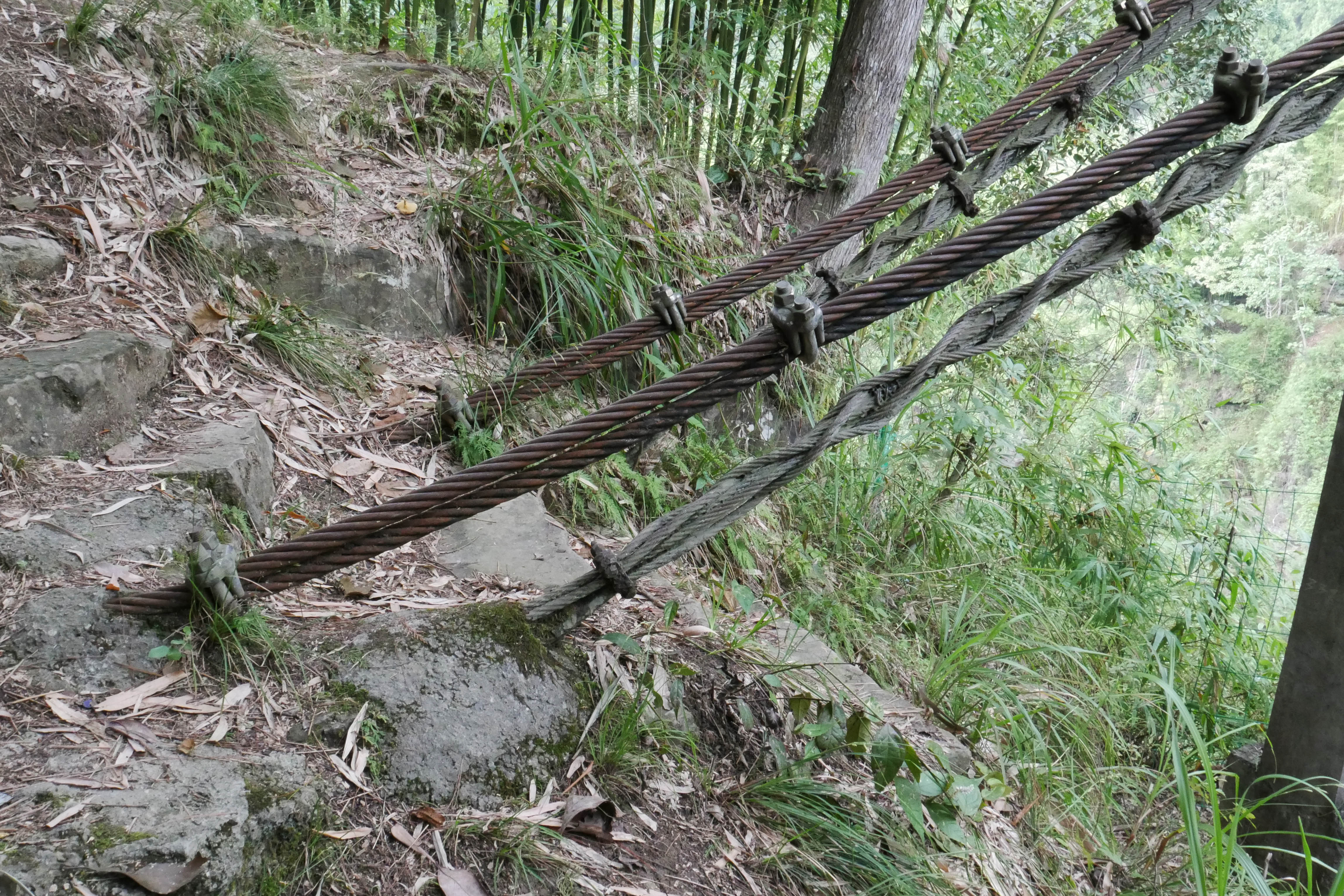 YaozhanFootbridge26.JPG